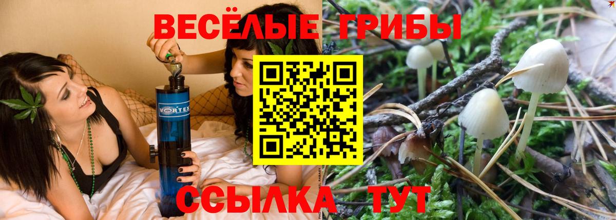 Галлюциногенные грибы Psilocybe  Псилоцибиновые грибы GOLDEN TEACHER  Вход с VPN  Бахчисарай 